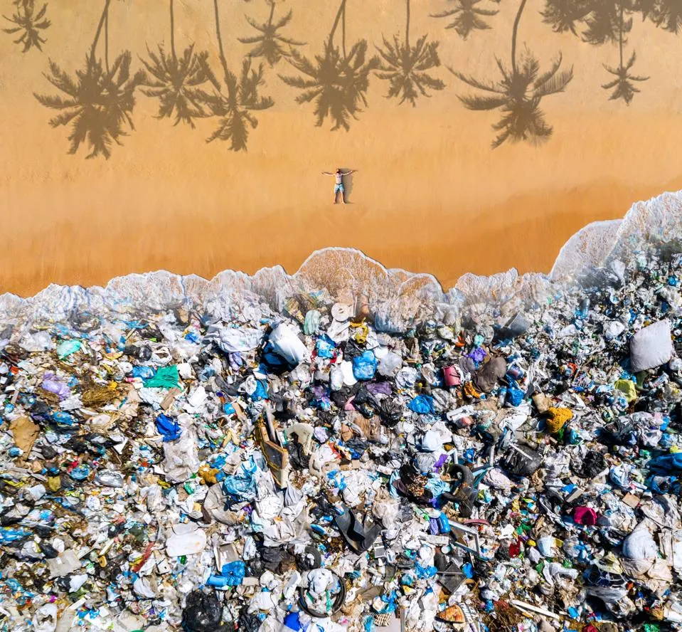 Plastic Pollution: Unmasking the Dark Side of Cheap Convenience